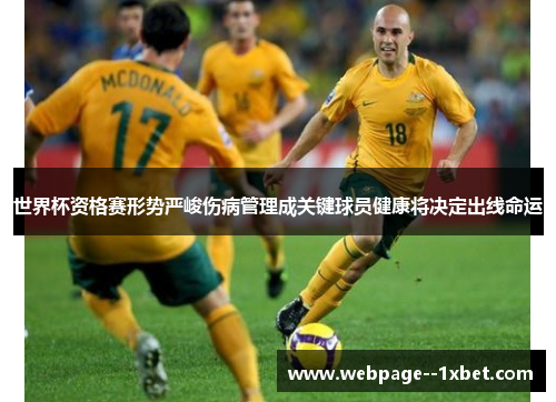 世界杯资格赛形势严峻伤病管理成关键球员健康将决定出线命运